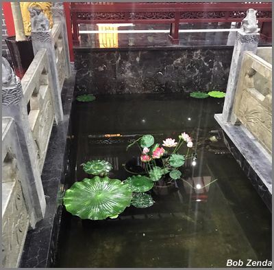 Water Garden 3